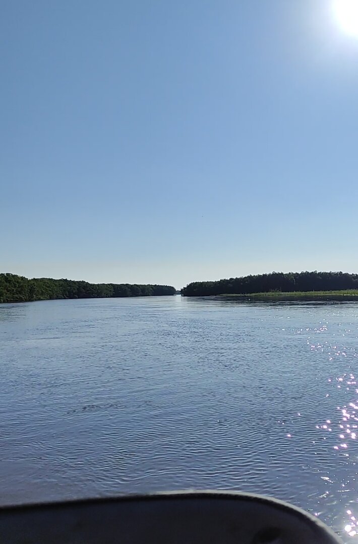 IMG_20260718_142820.jpg