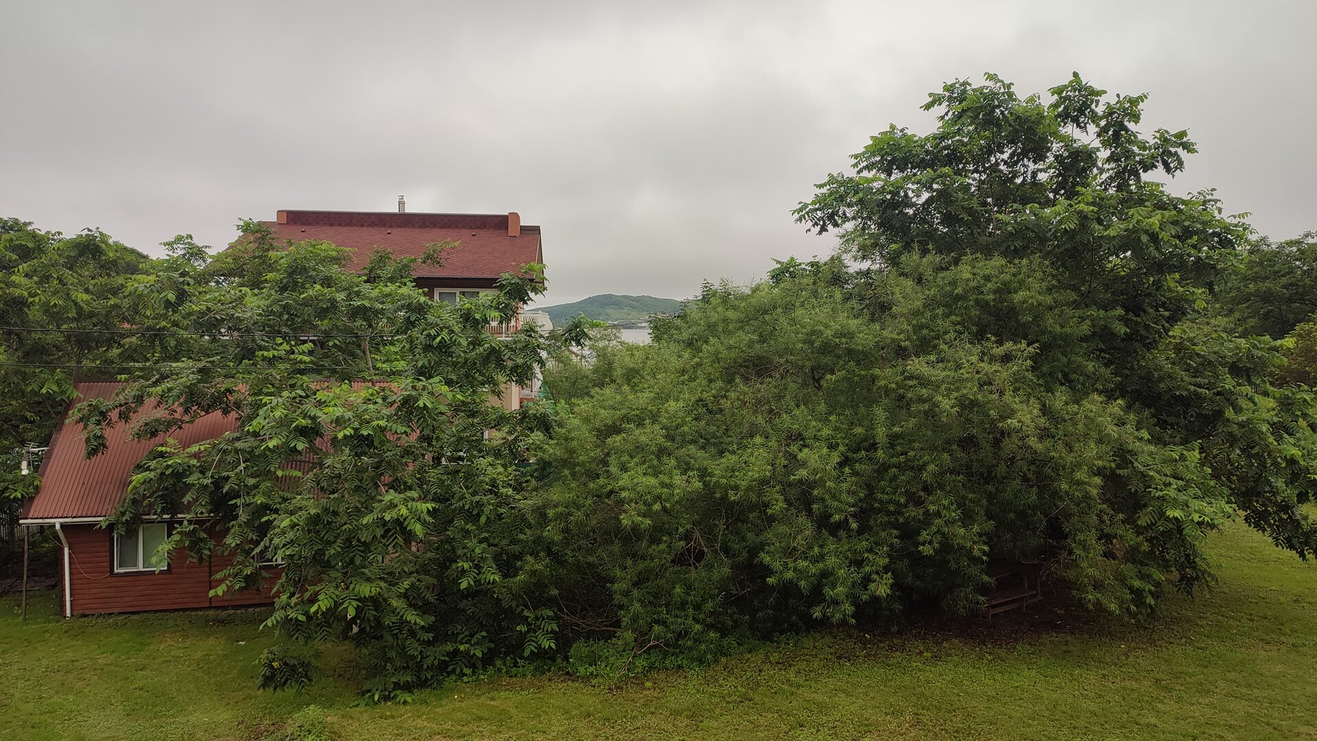 IMG_20260723_170419.jpg