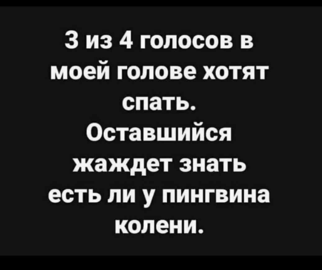 IMG_20260726_115156.jpg