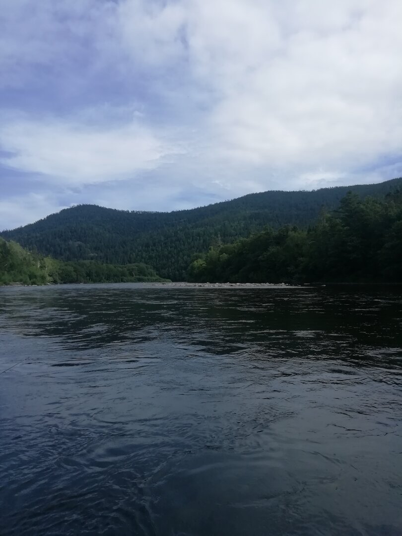 IMG_20260730_101620.jpg