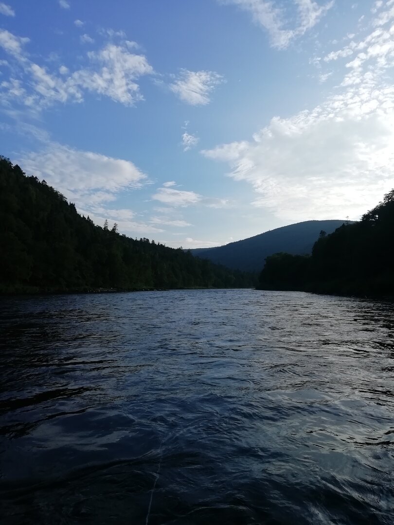 IMG_20260730_190131.jpg
