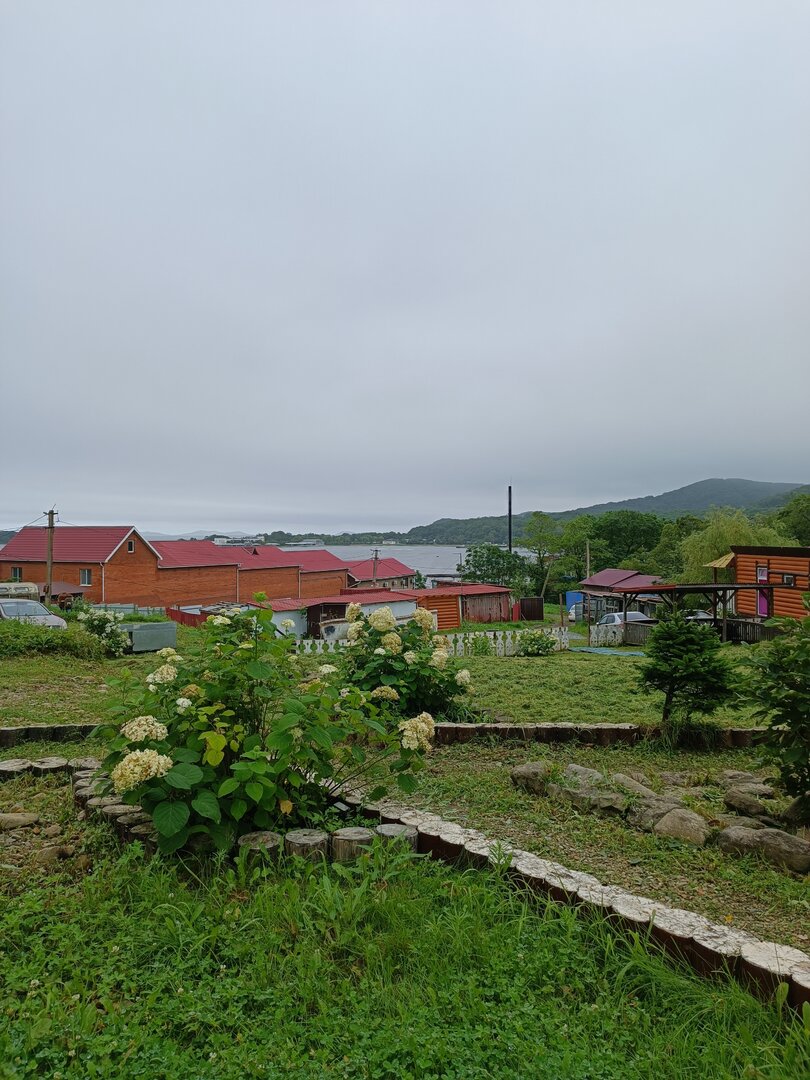IMG_20260801_153318.jpg