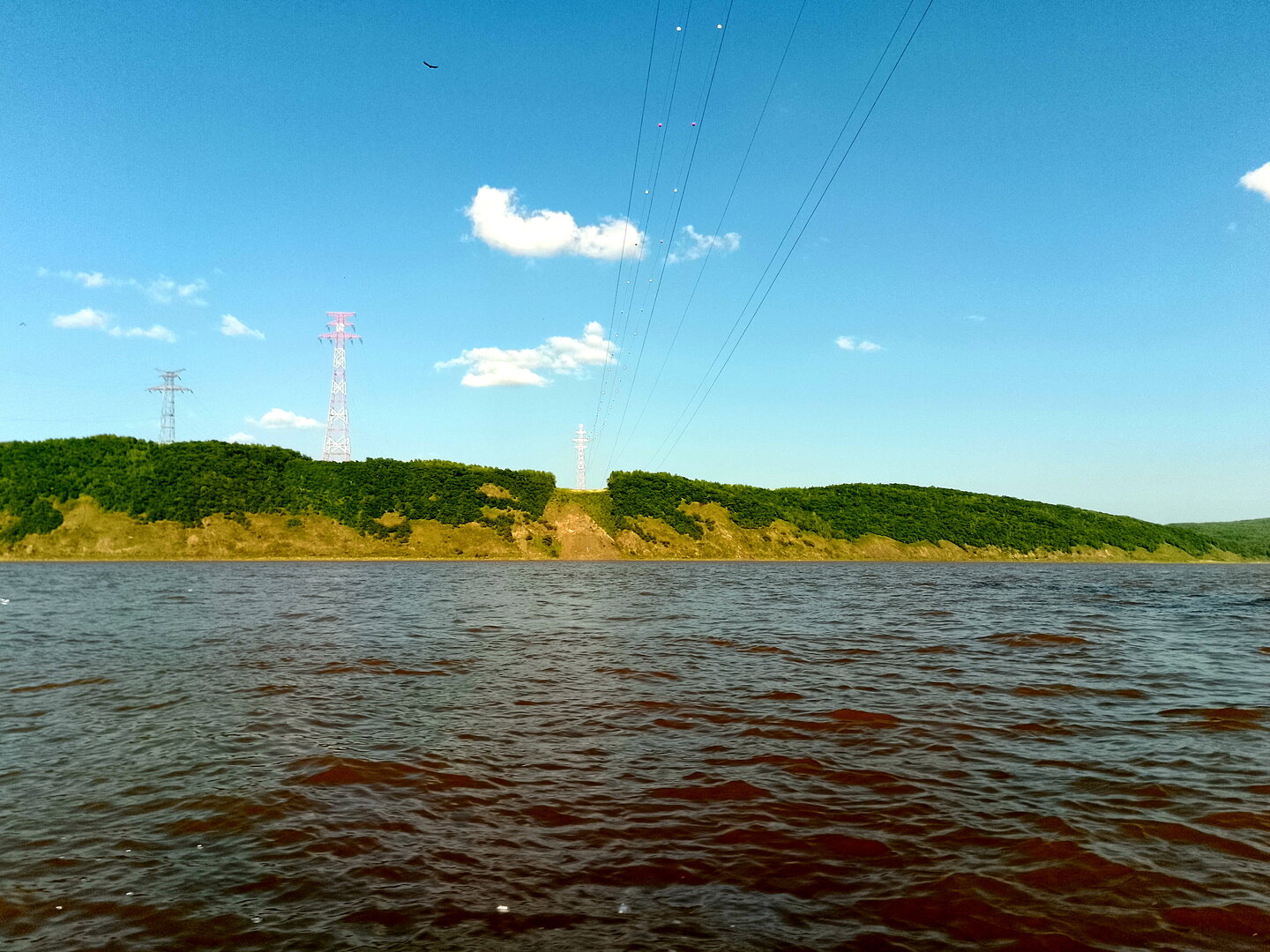 IMG_20260801_172003.jpg