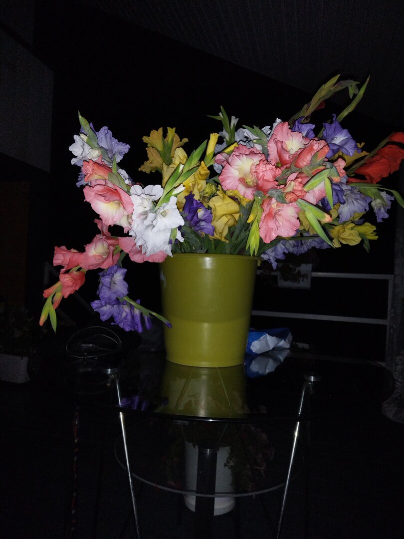 IMG_20260808_222503.jpg