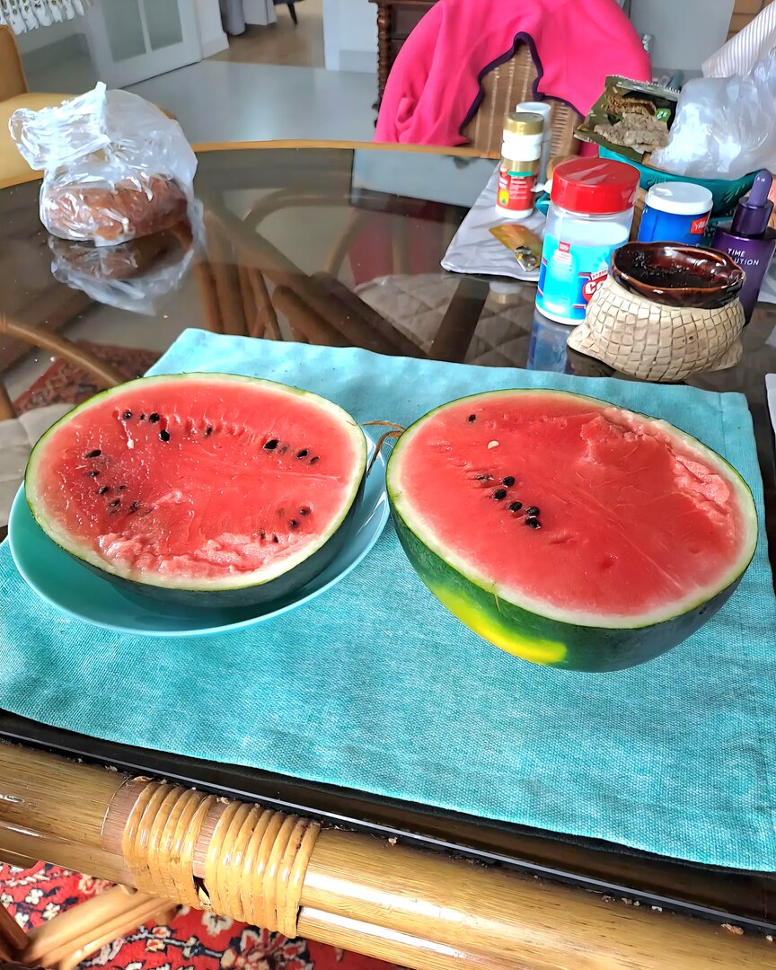 IMG_20260901_103049_840.jpg
