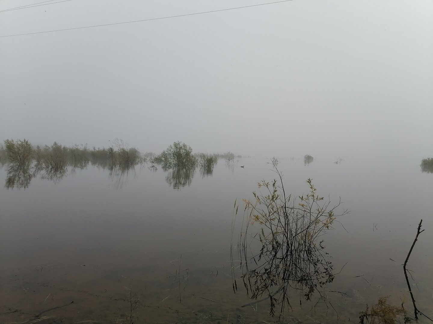 IMG_20260904_082614.jpg