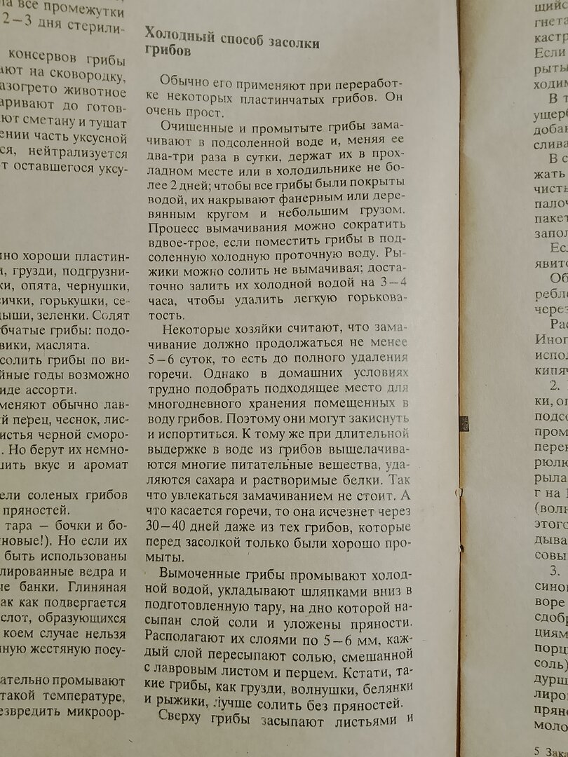 IMG_20260913_010446.jpg
