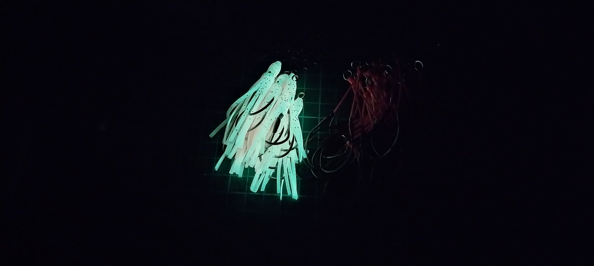 IMG_20260917_200937.jpg