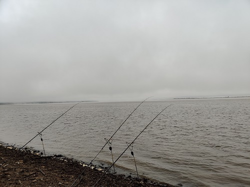 IMG_20260928_084120.jpg