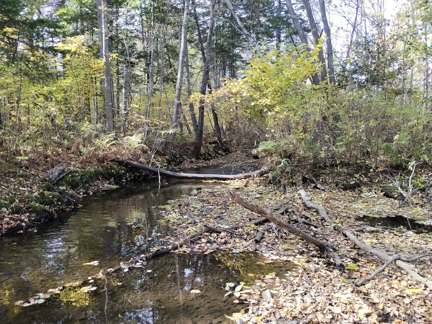 IMG_20260928_125614.jpg