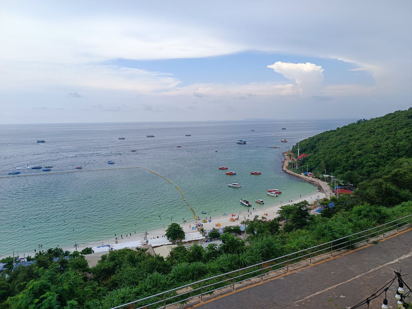 IMG_20261005_145859.jpg