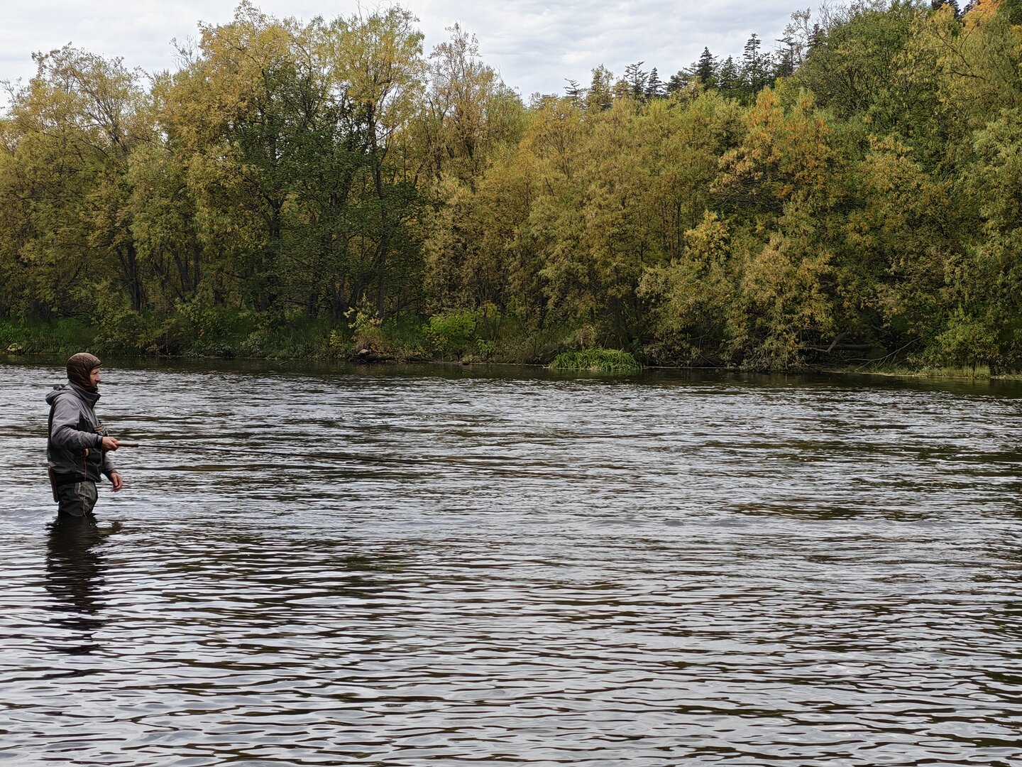 IMG_20261006_090134.jpg