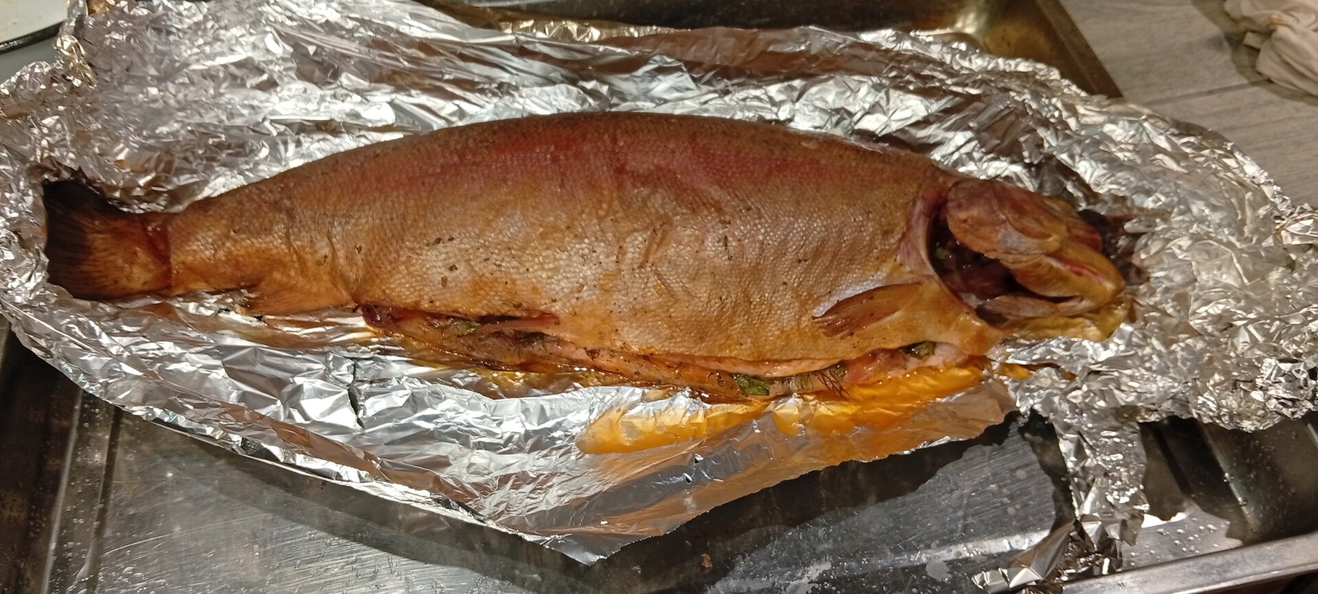IMG_20261017_201109.jpg