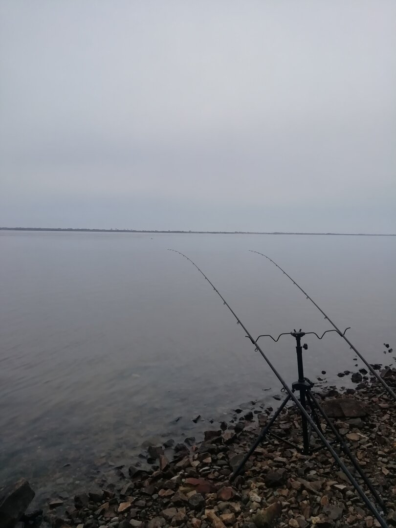 IMG_20261018_100513.jpg