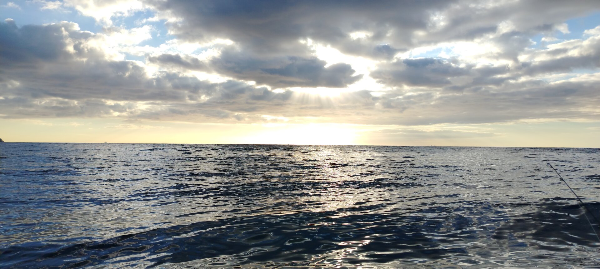 IMG_20261023_083930.jpg