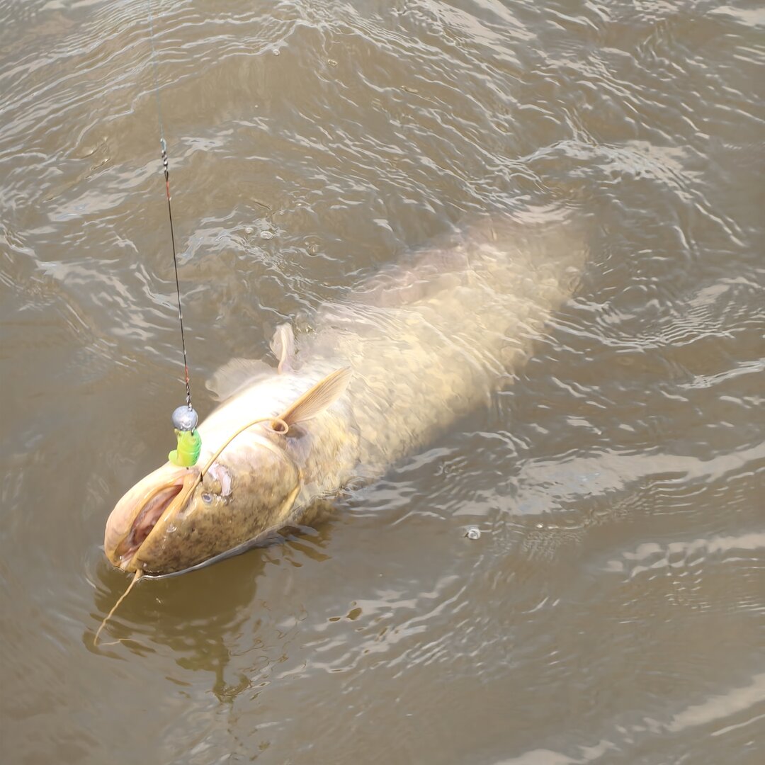 IMG_20261026_131612.jpg