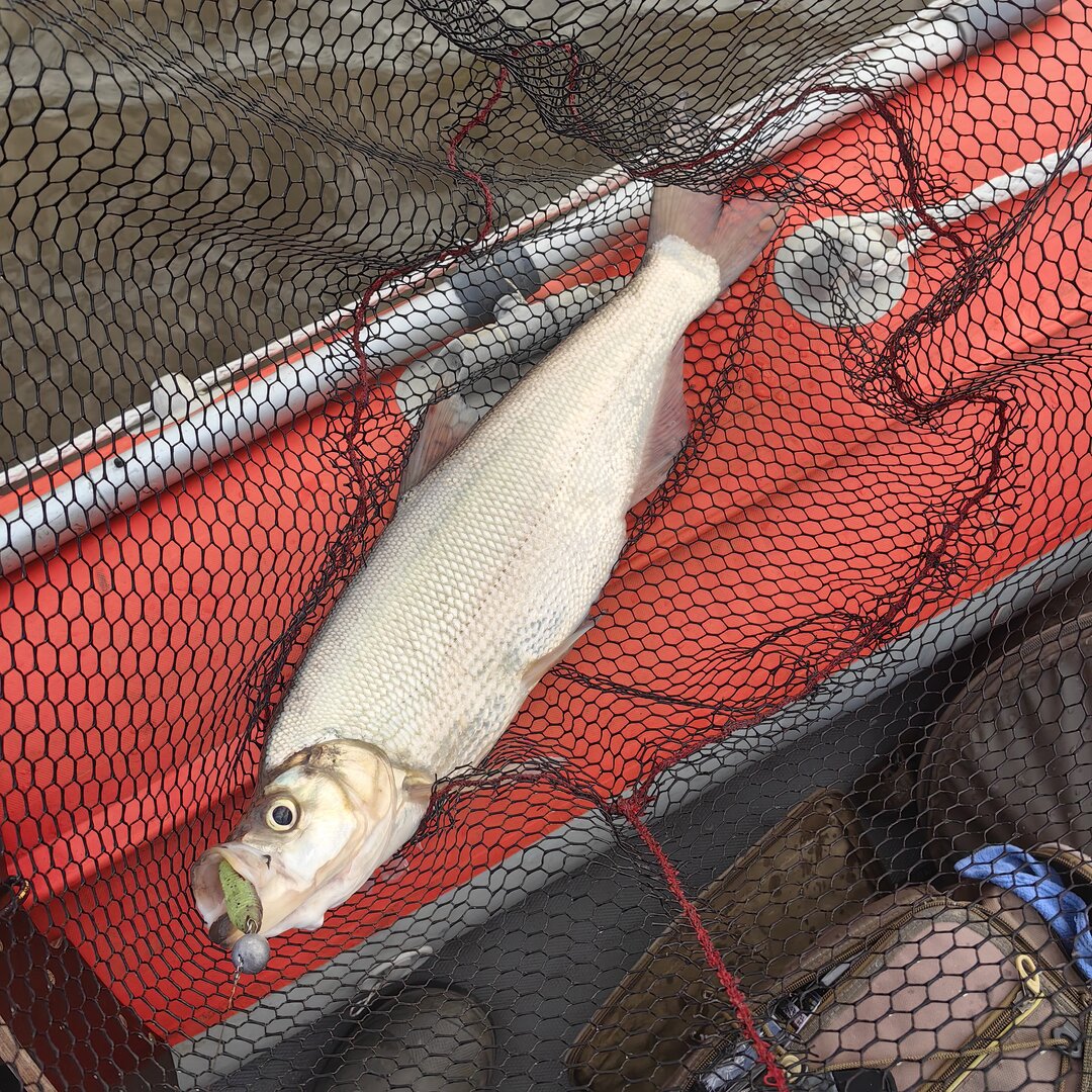 IMG_20261026_152622.jpg