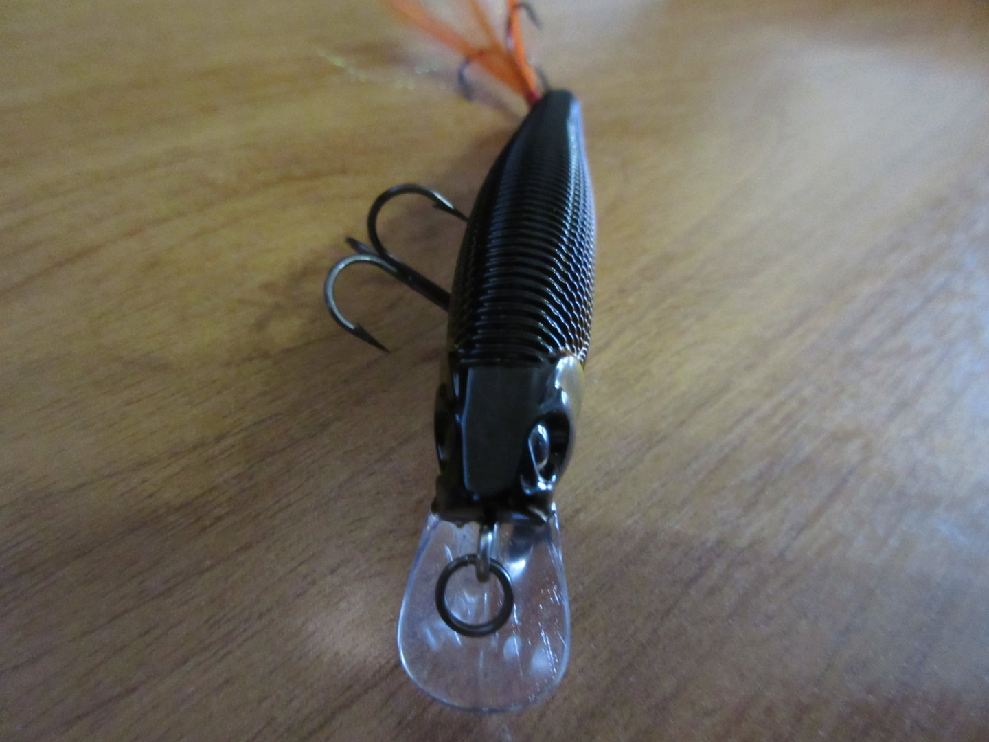 IMG_2061.JPG