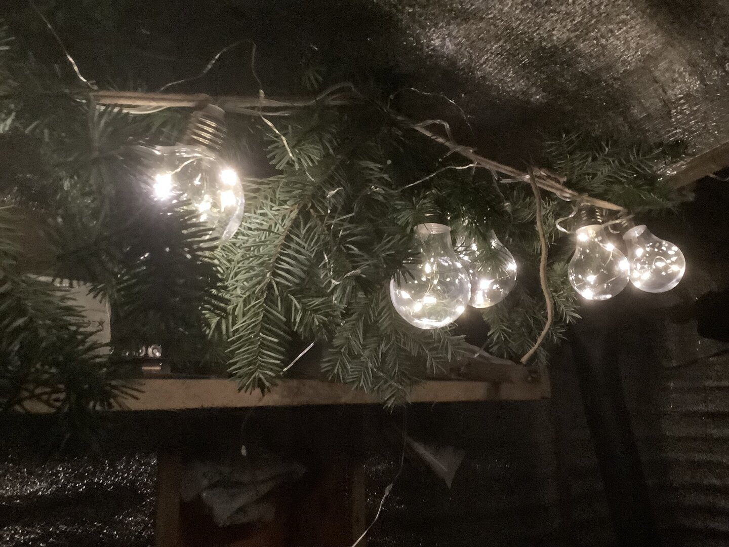 IMG_2137.jpg IMG_2137.jpg