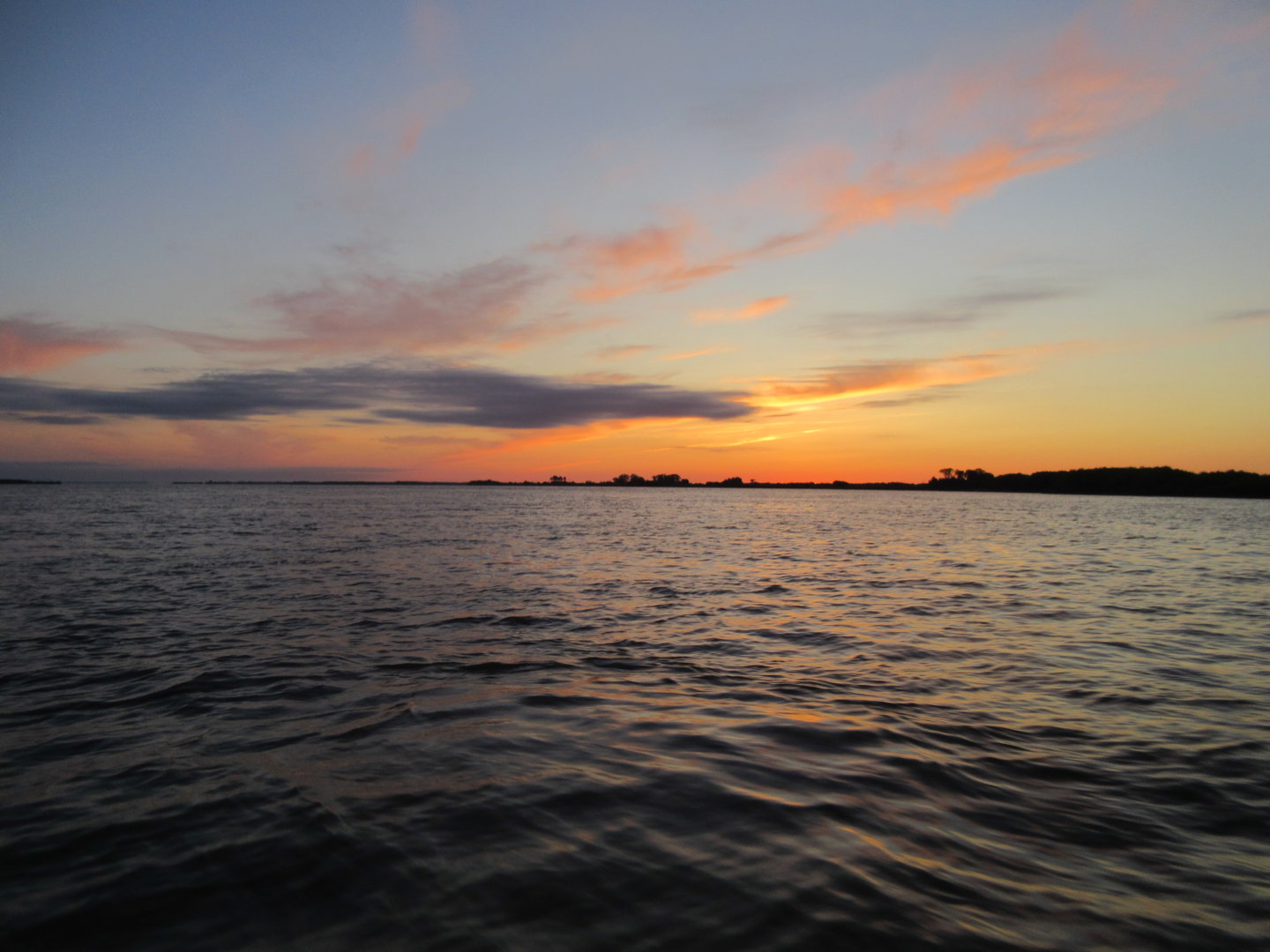 IMG_2276.JPG