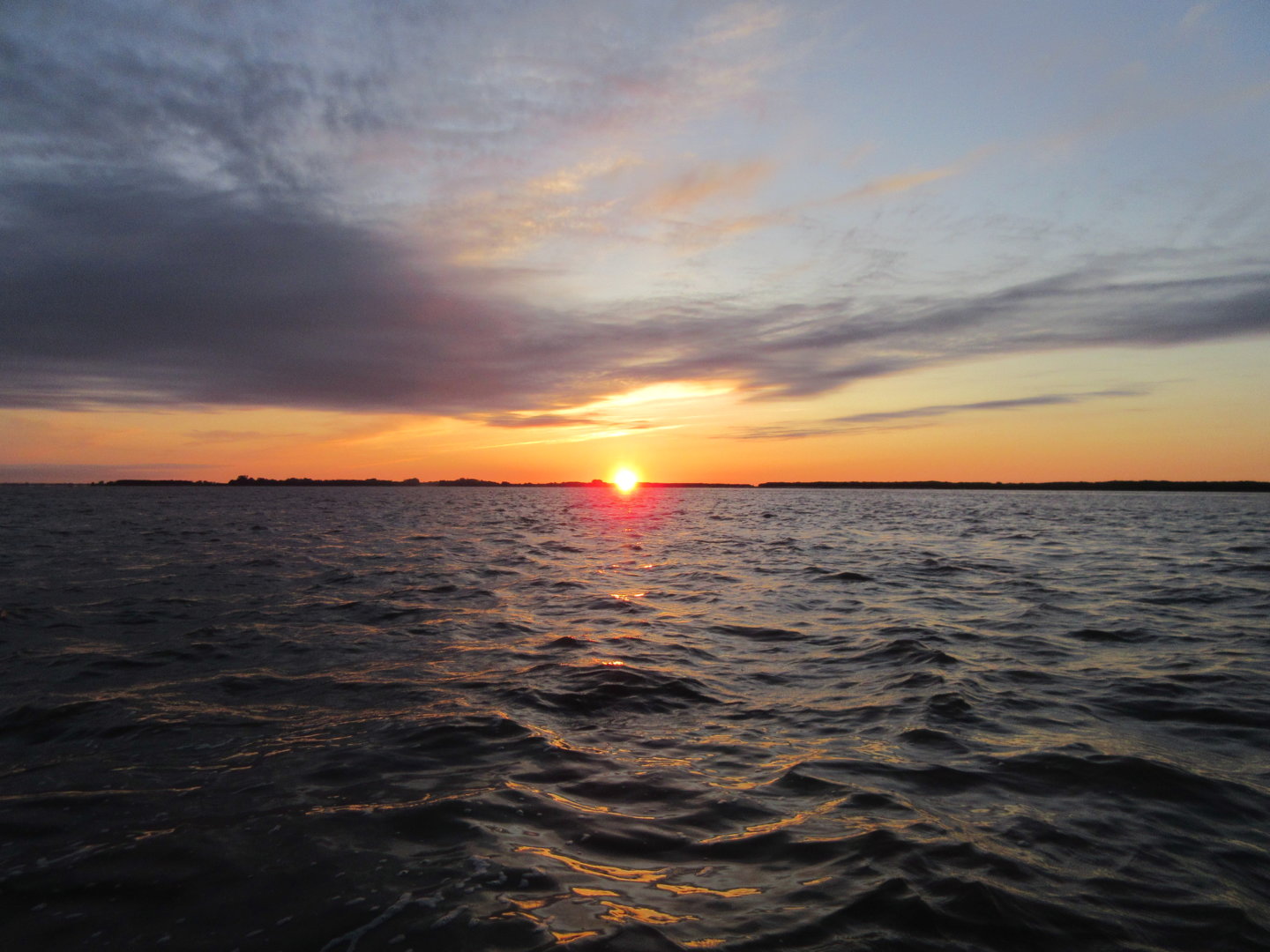IMG_2278.JPG