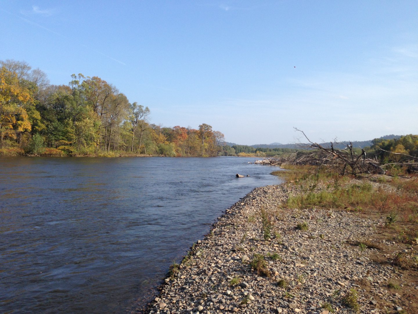 IMG_2296.JPG