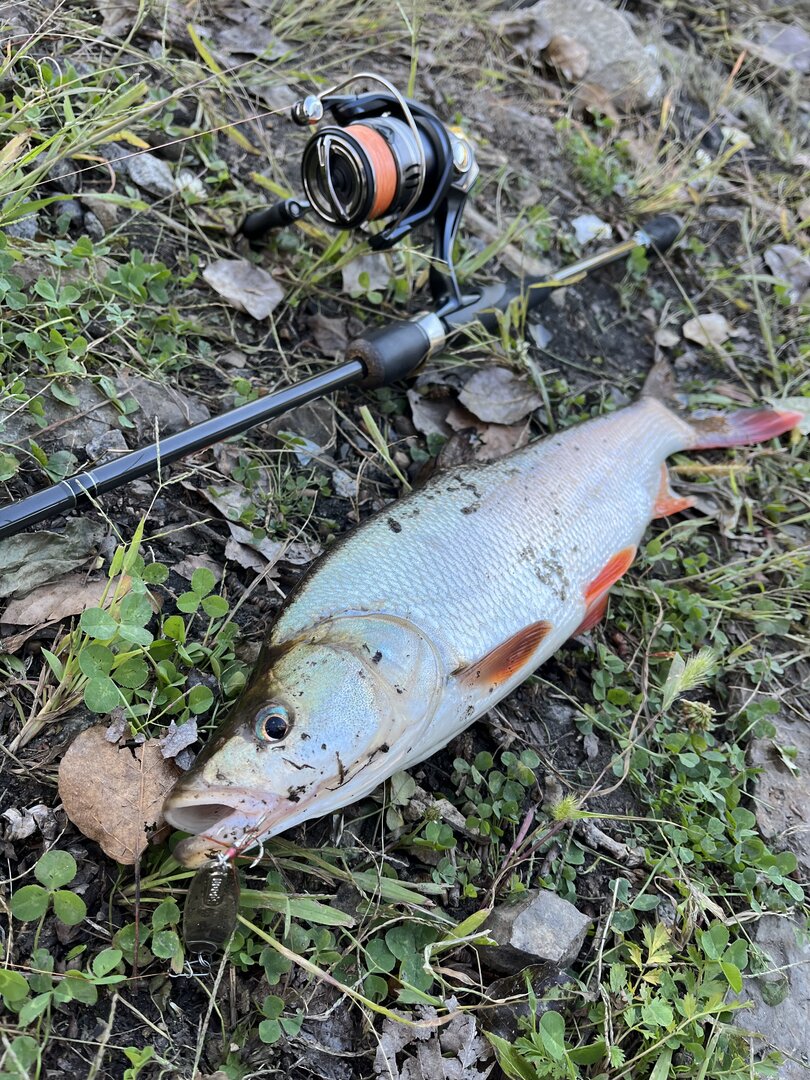 IMG_2592.jpeg IMG_2592.jpeg