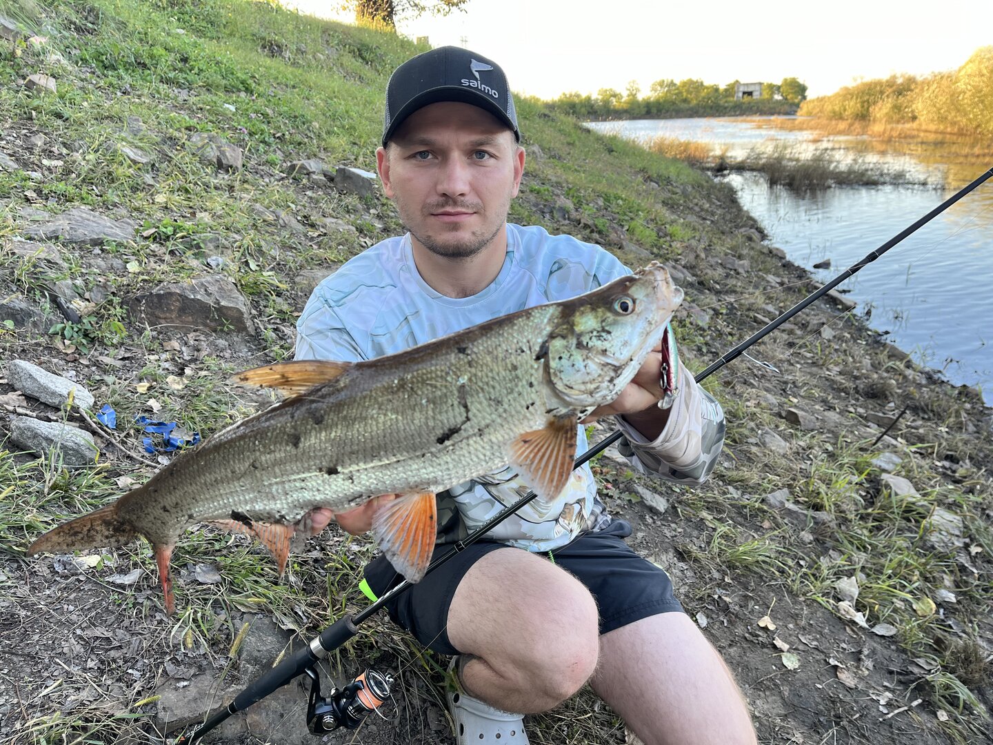 IMG_2604.jpeg IMG_2604.jpeg