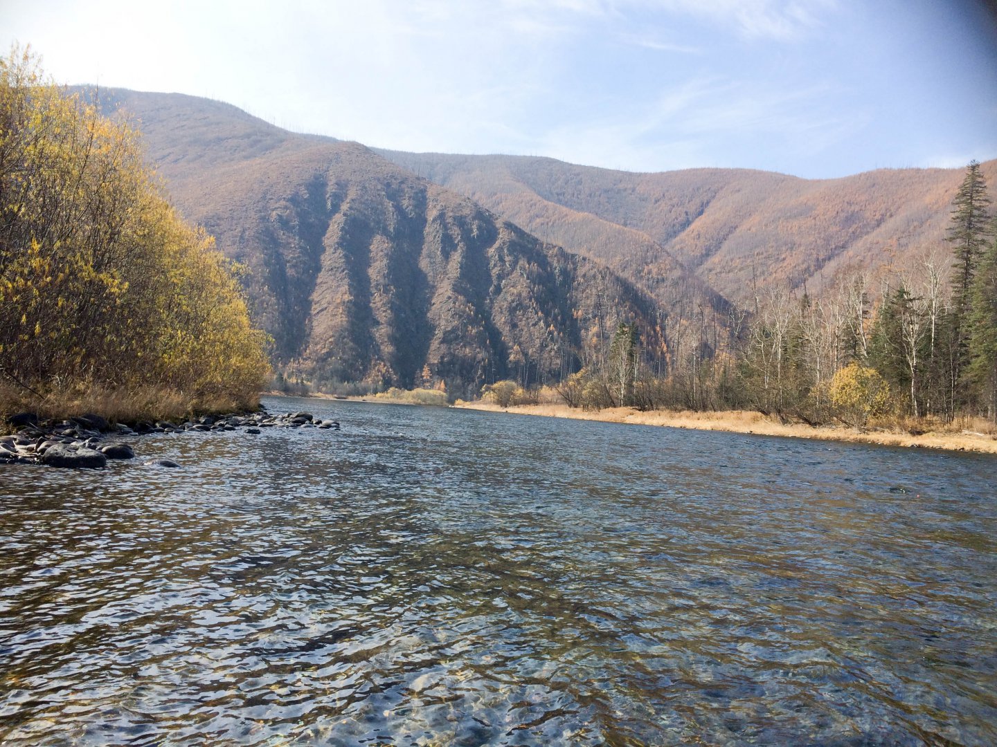 IMG_2612.jpg