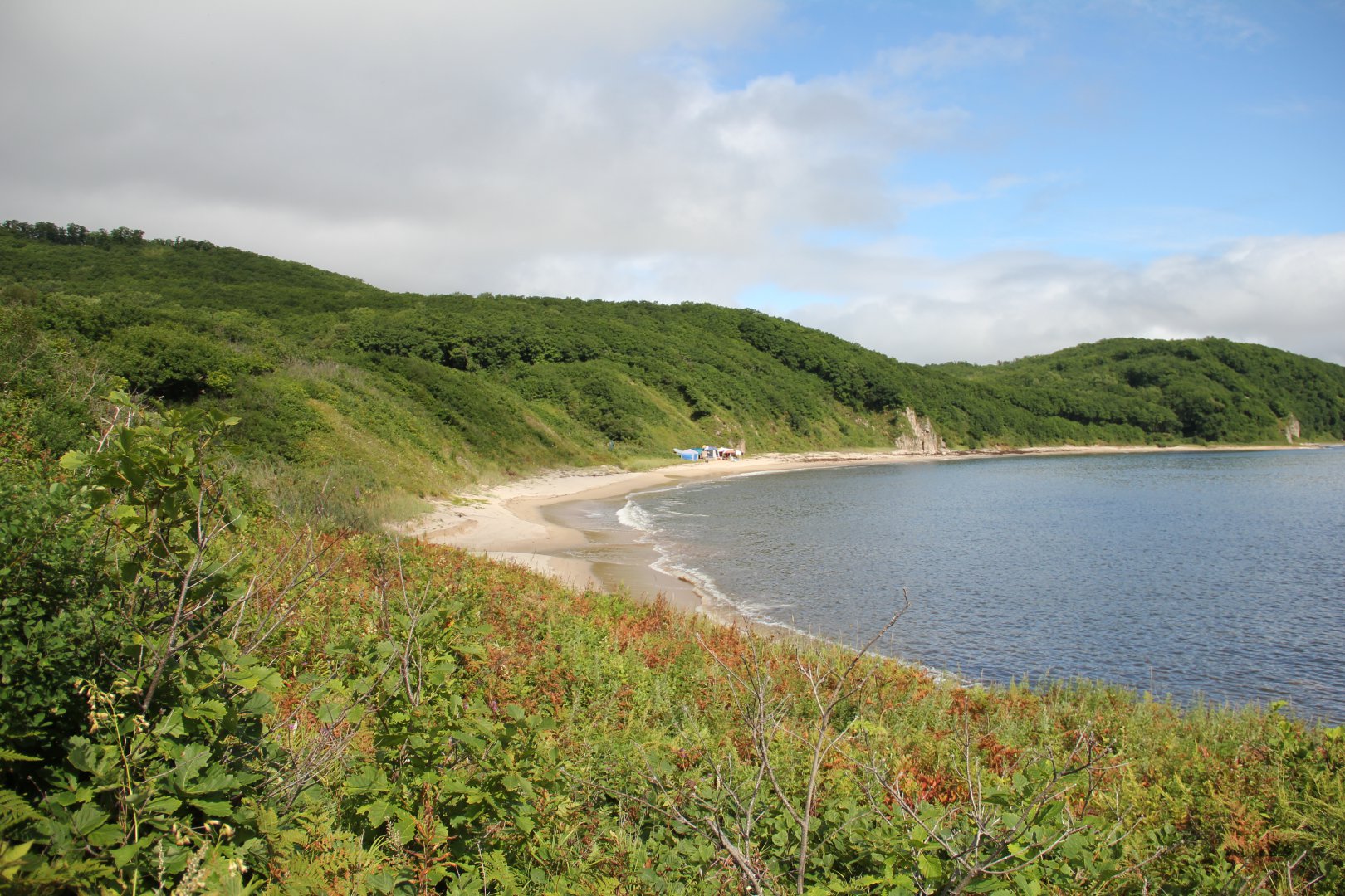 Амурские берега