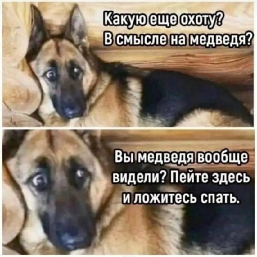 IMG_2907.jpeg