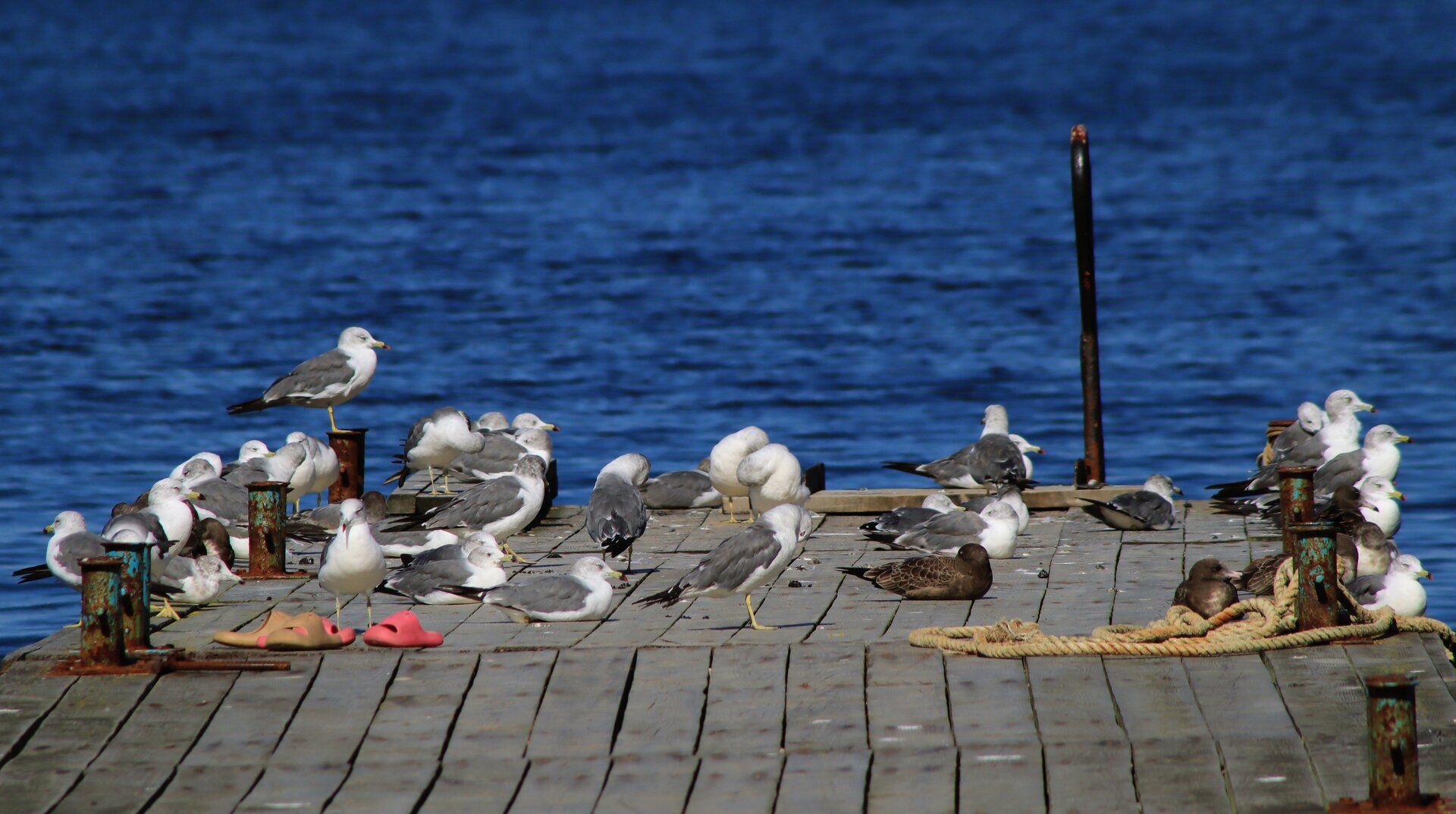 IMG_2908~2.JPG