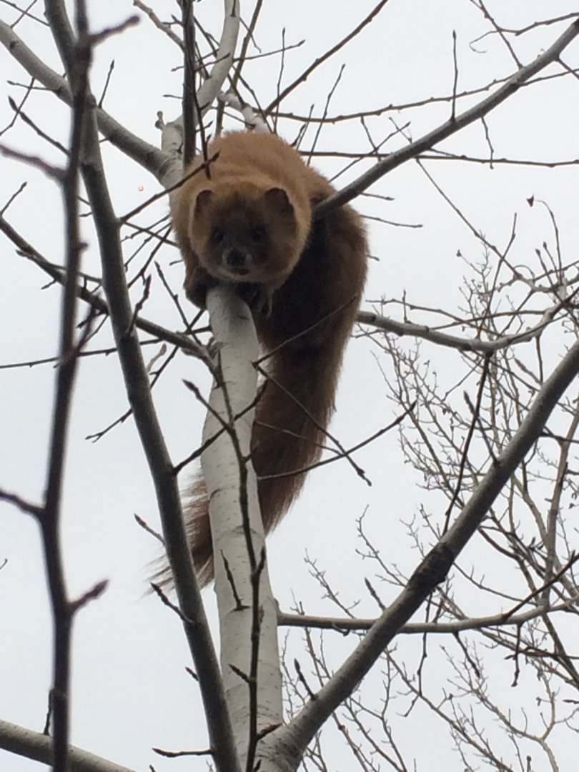 IMG_3106.JPG