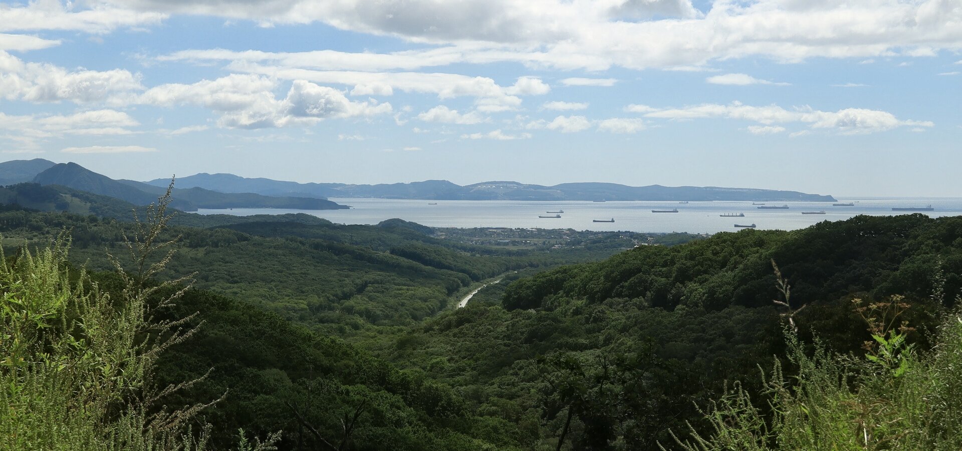 IMG_3382~2.JPG
