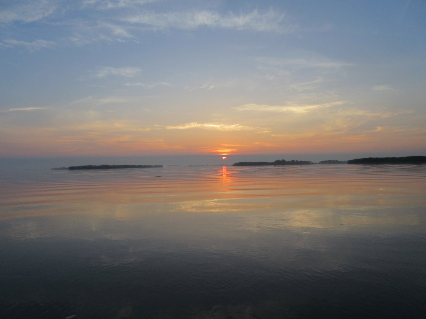 IMG_3587.JPG