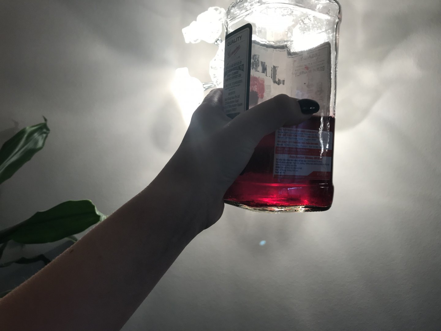 IMG_3670[1].JPG