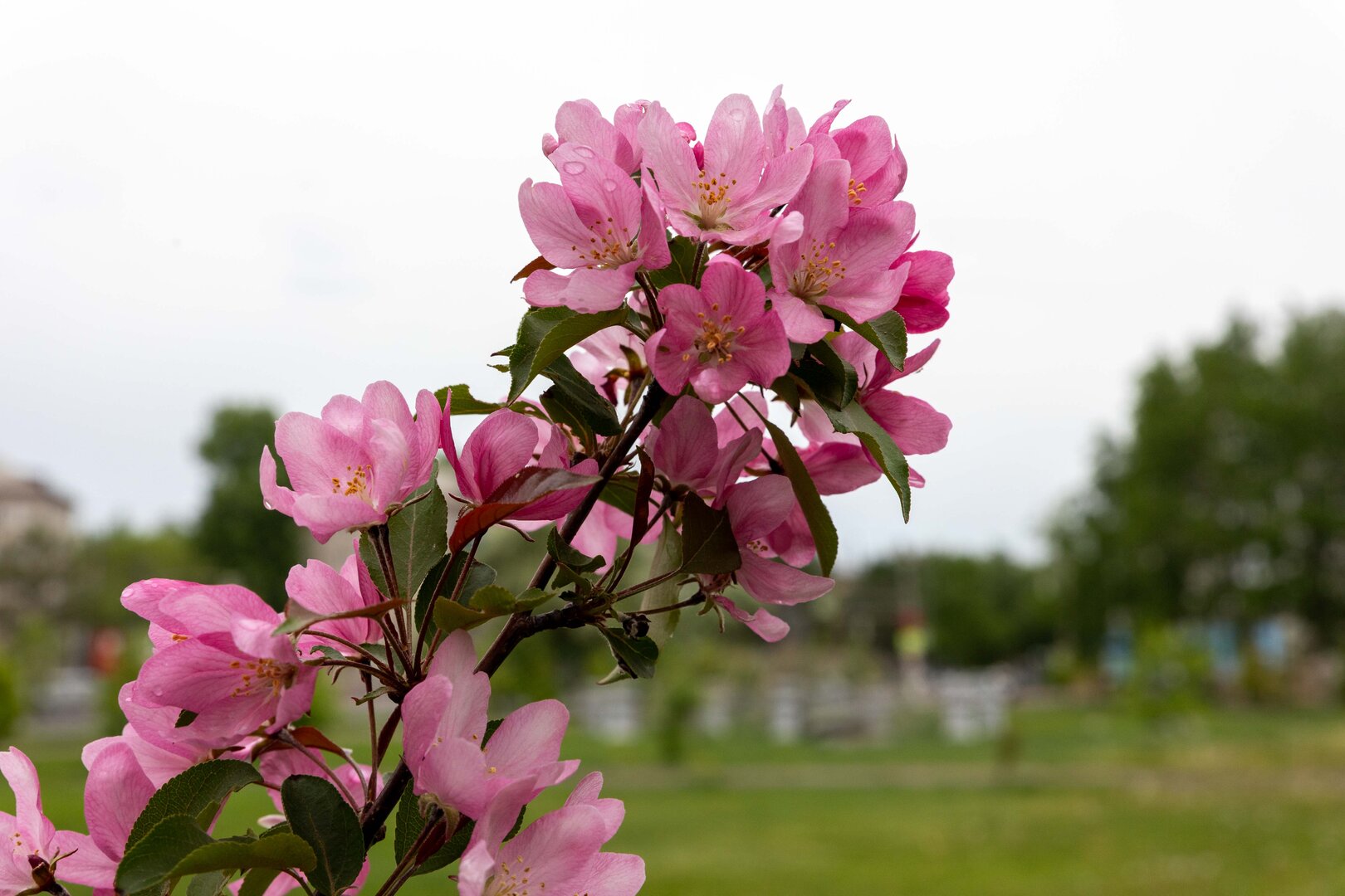 IMG_3890.jpg