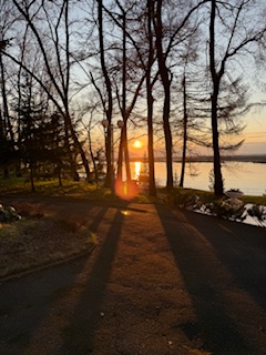 IMG_3937.jpeg