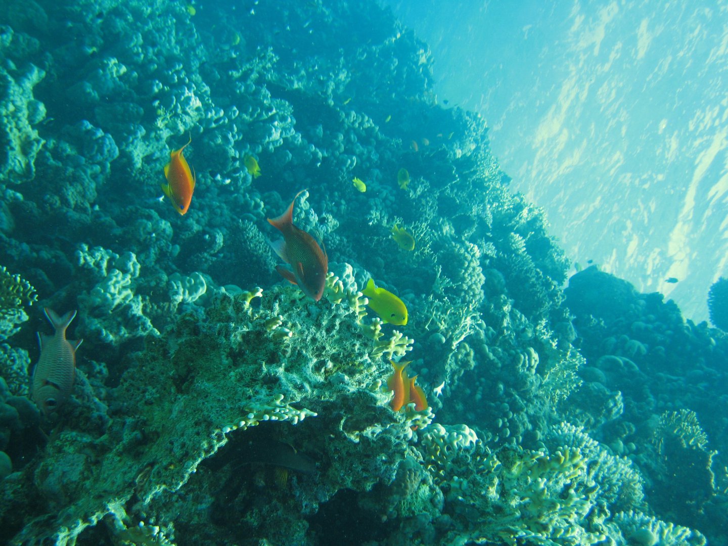 IMG_3955.JPG