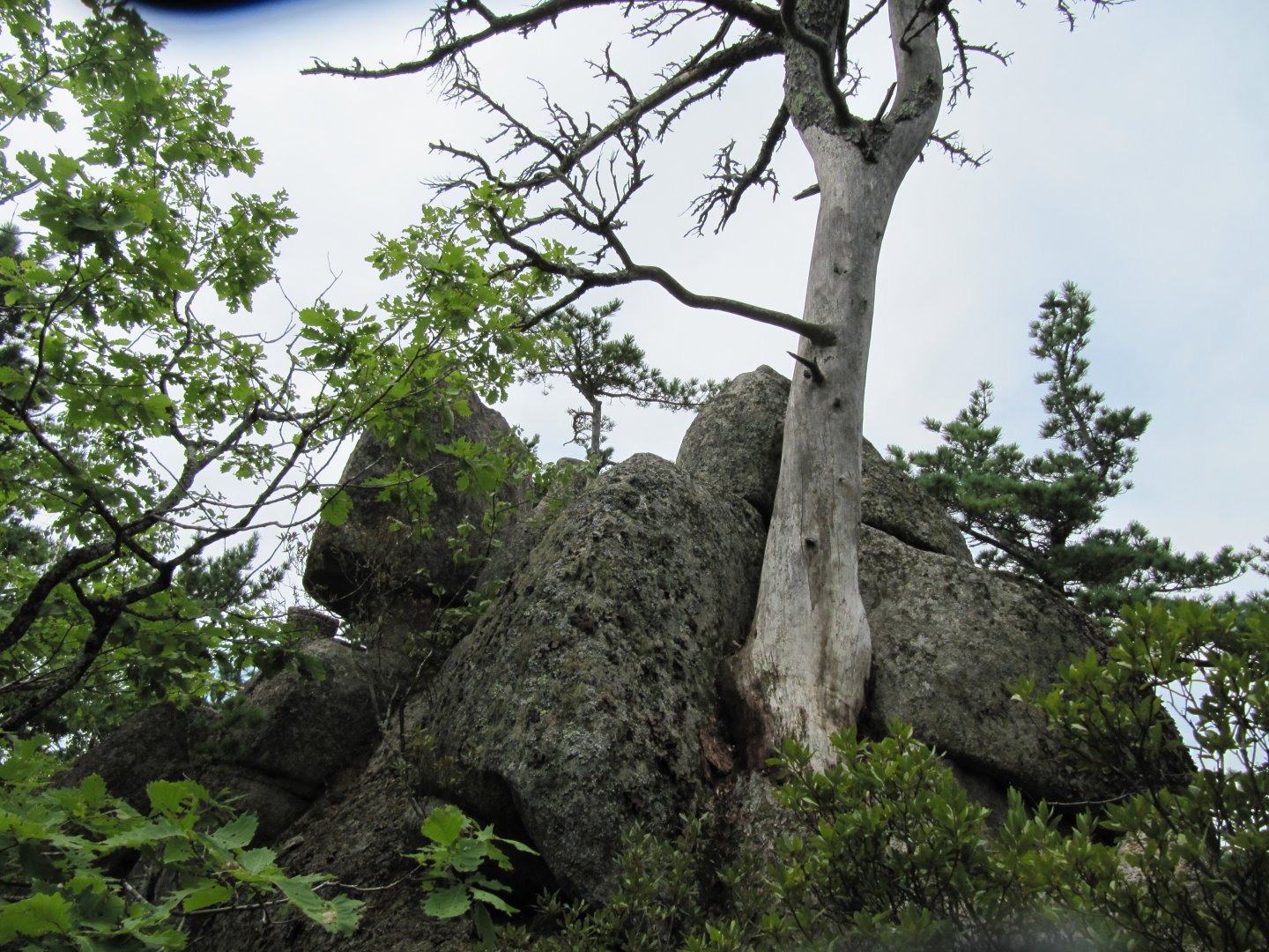 IMG_4074.JPG