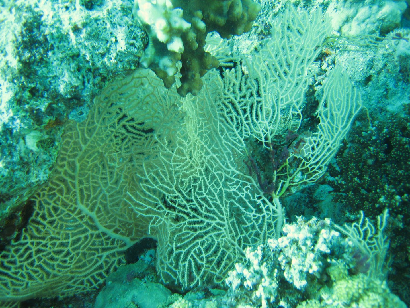 IMG_4080.JPG