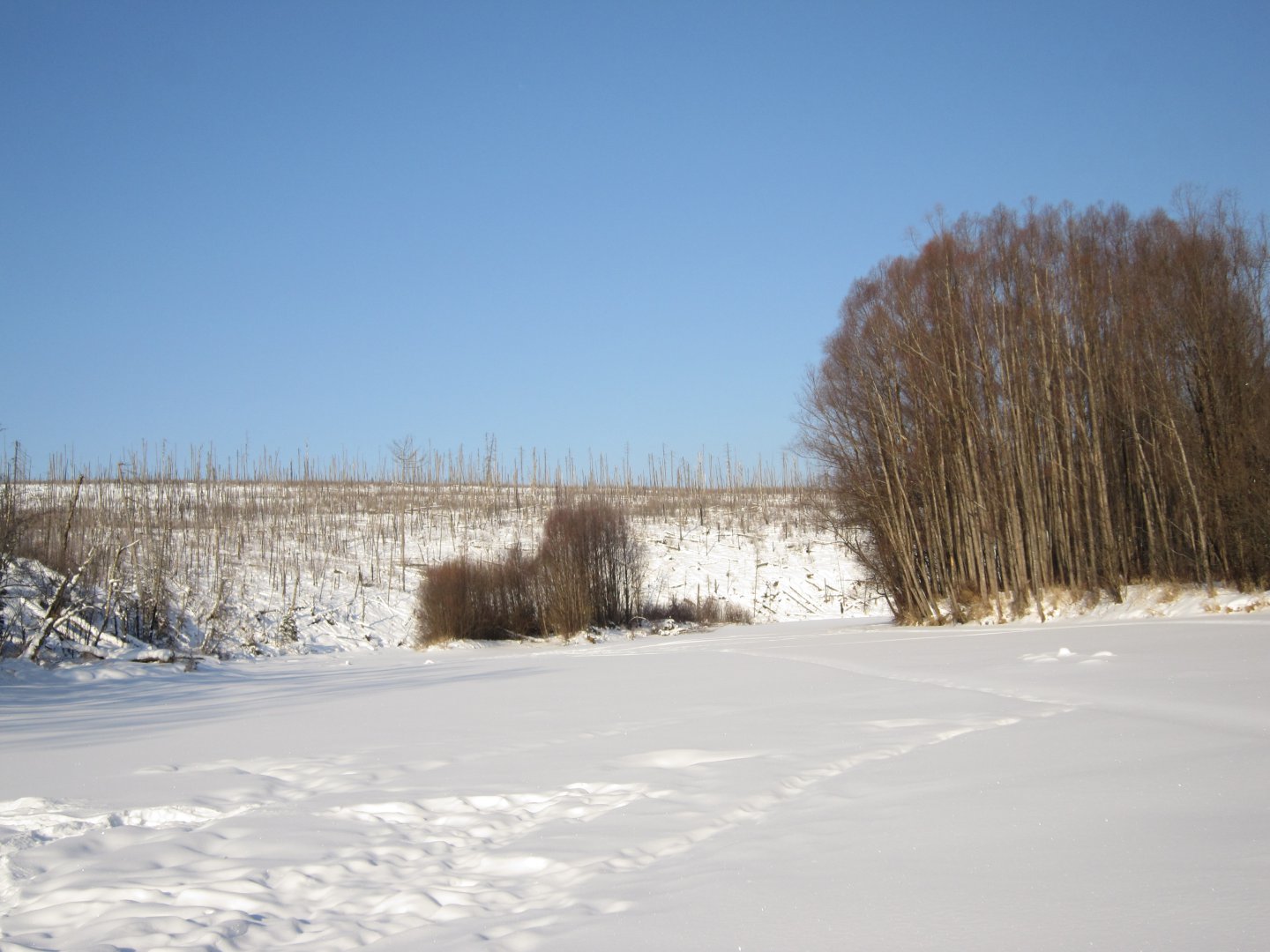 IMG_4144.JPG