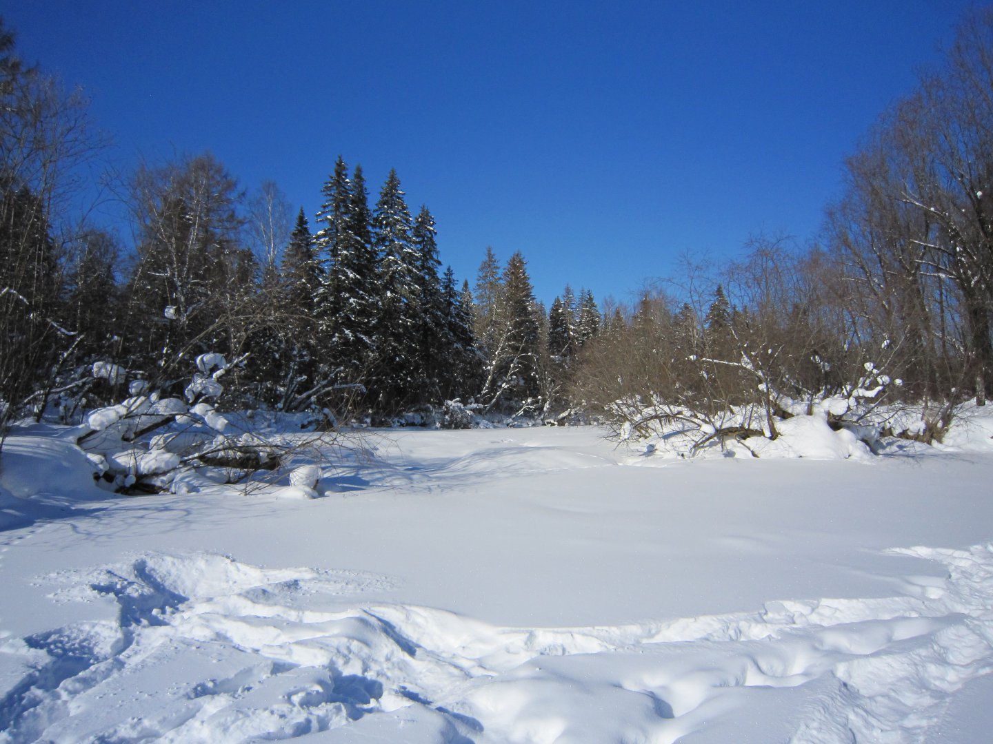 IMG_4155.JPG
