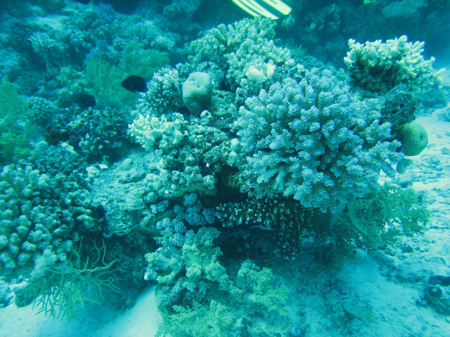 IMG_4197.JPG
