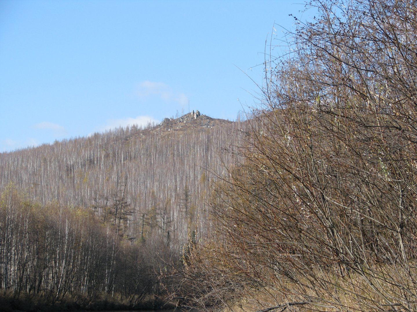 IMG_4290.jpg