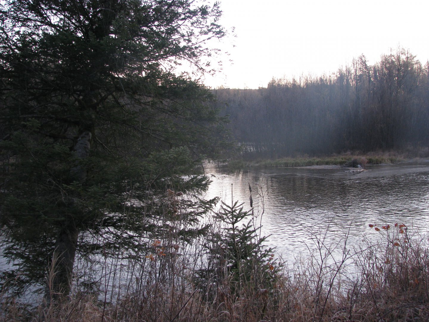 IMG_4294.jpg