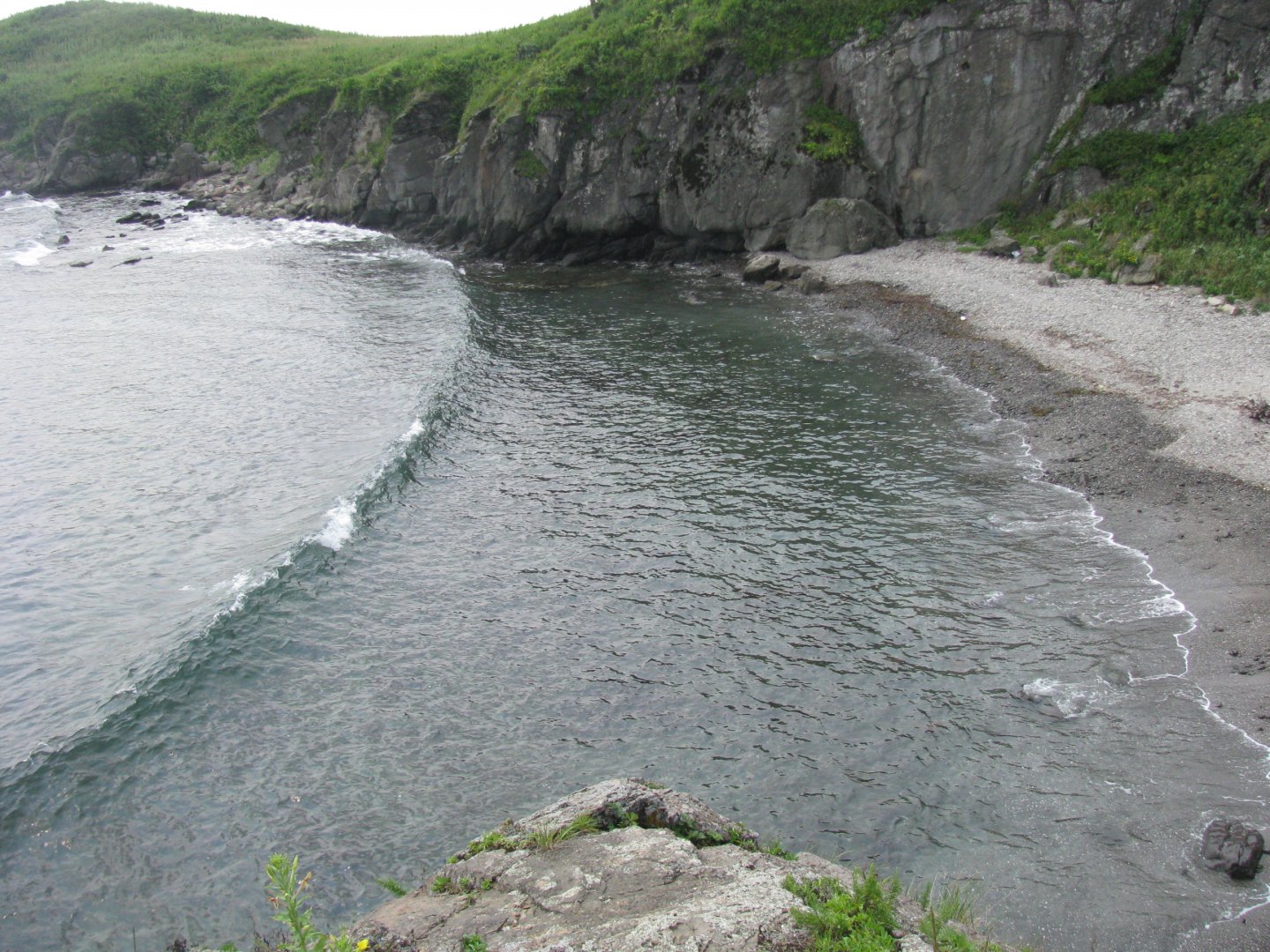 IMG_4322.JPG
