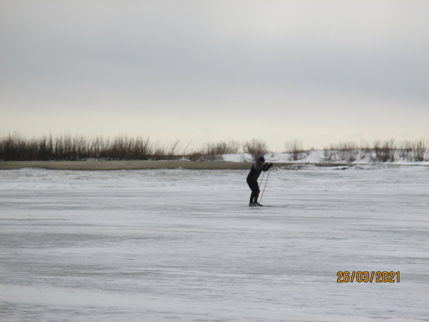 IMG_4337.JPG