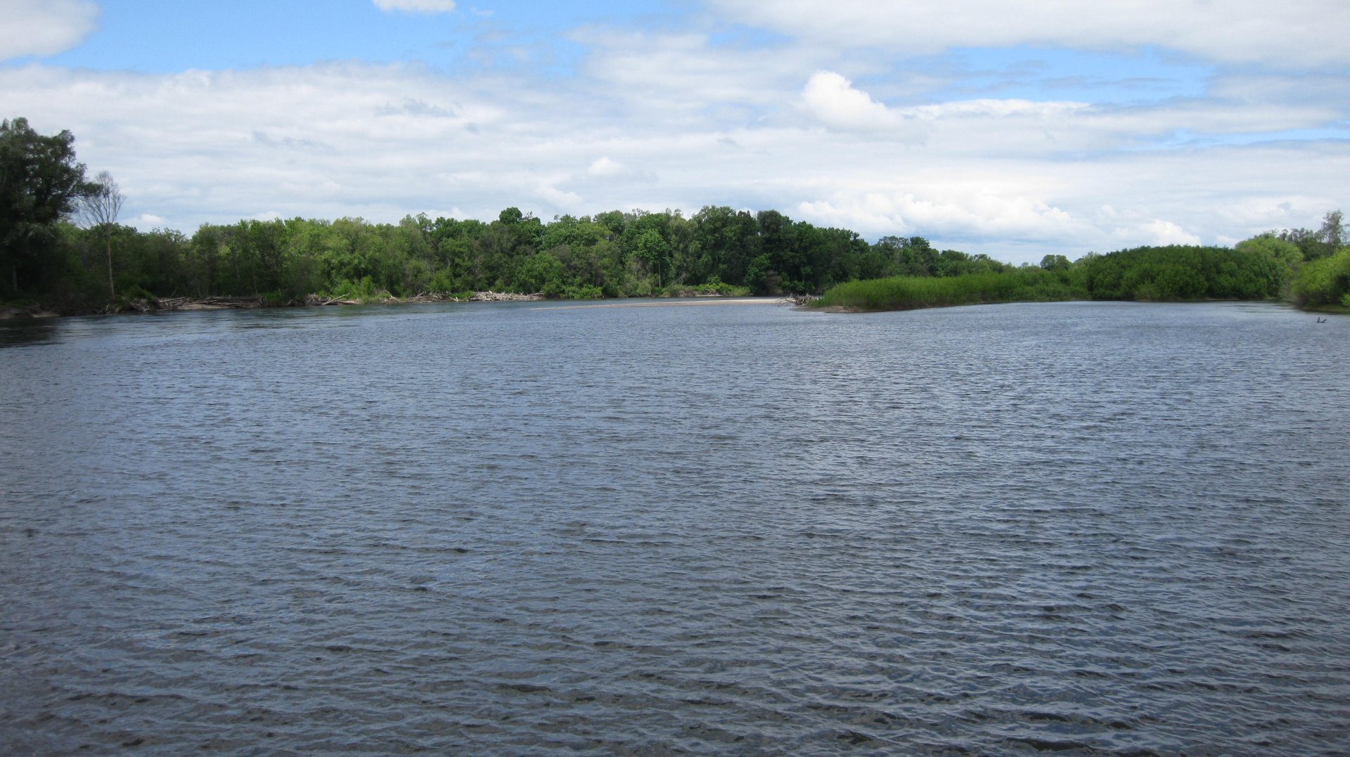IMG_4339.JPG