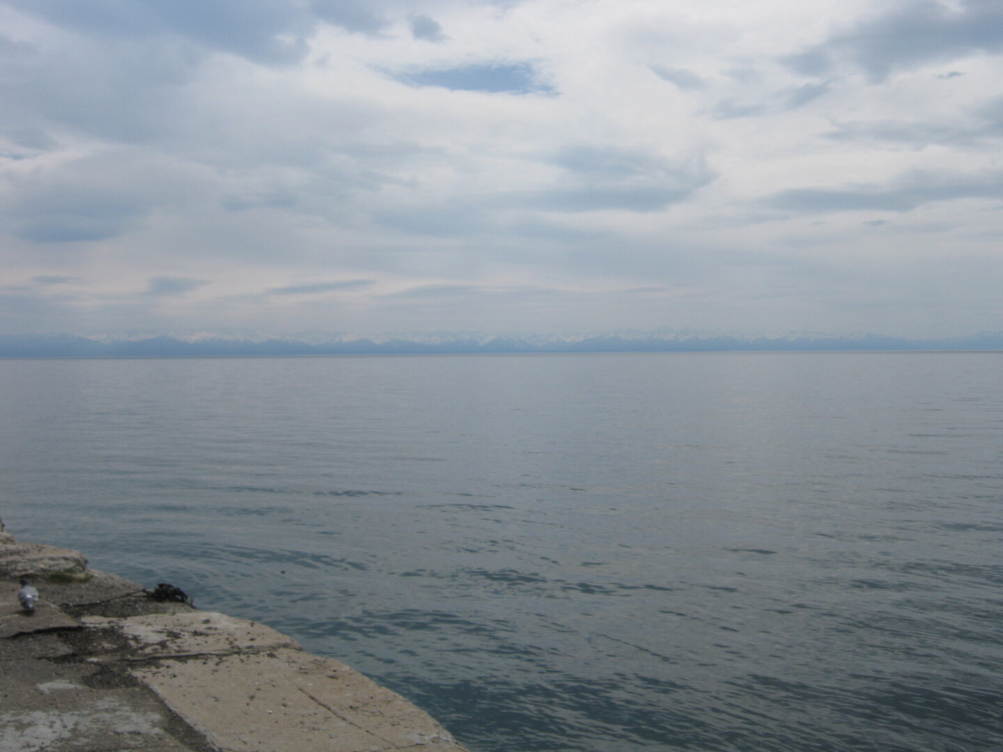 IMG_4367.JPG